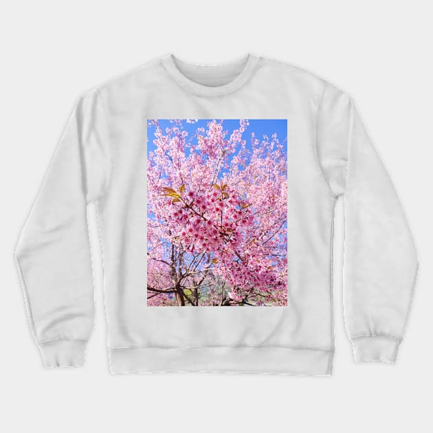 Beautiful pink flowers Crewneck Sweatshirt by PPphatsorn